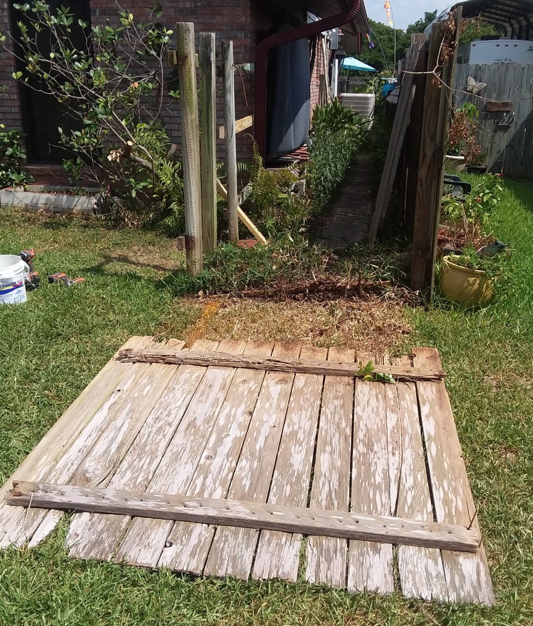 20180725_112354.jpg