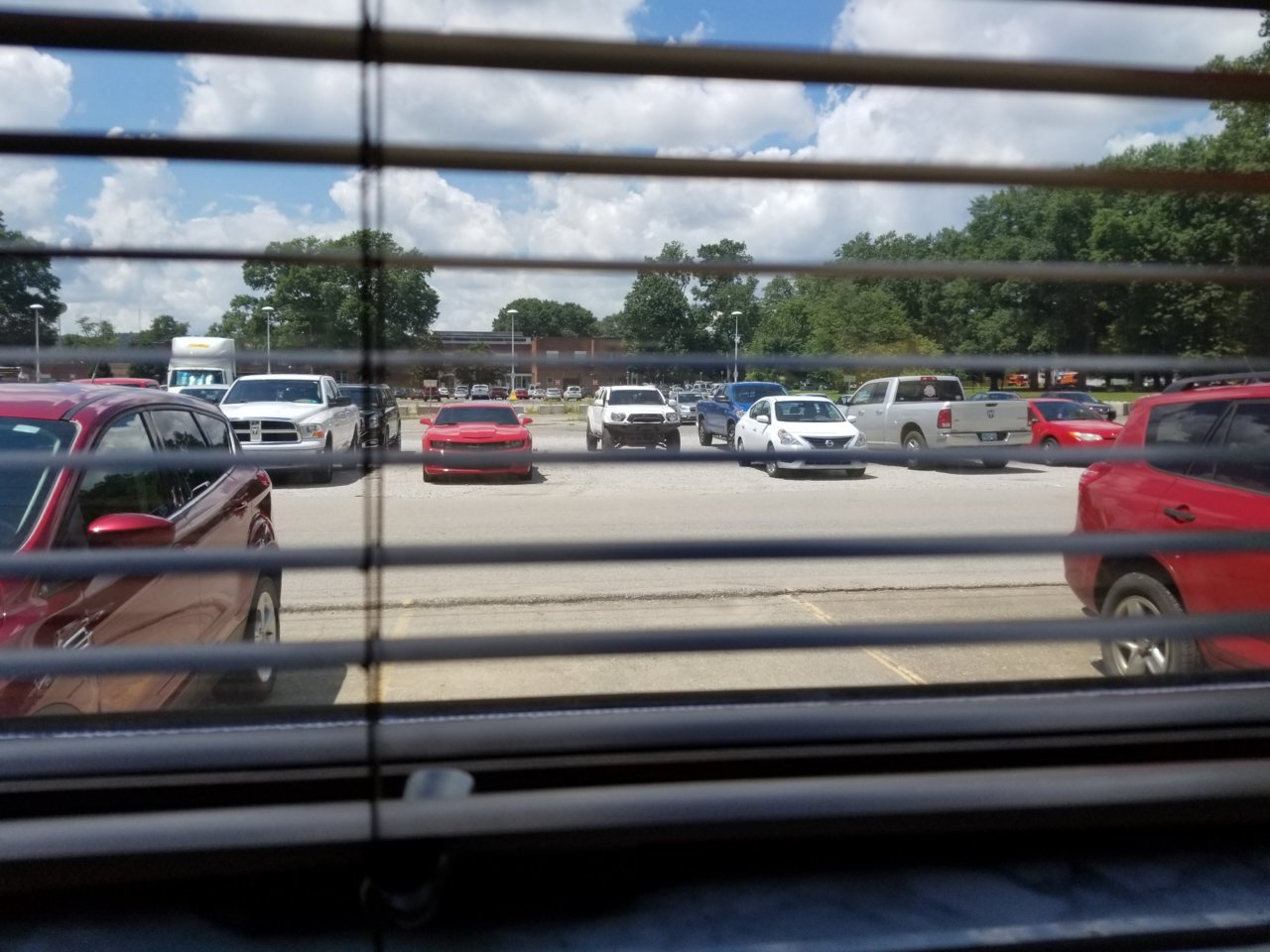 20180725_130037.jpg