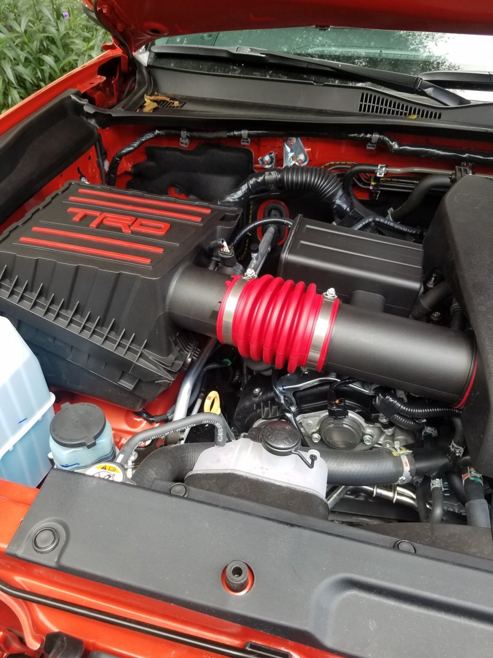 20180725_131524.jpg