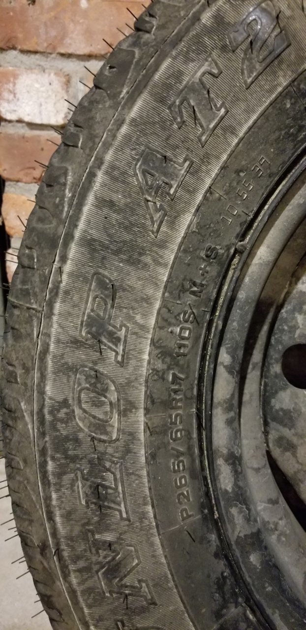 20180725_200441.jpg