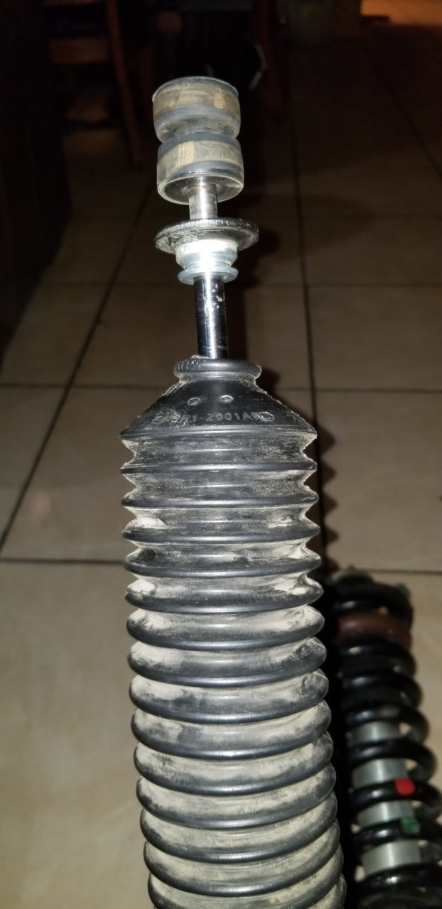 20180726_201157.jpg