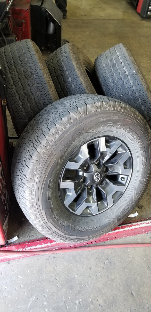 20180727_104451.jpg