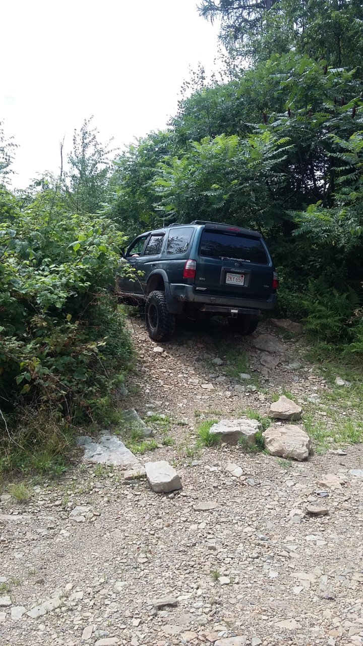 20180727_135126.jpg