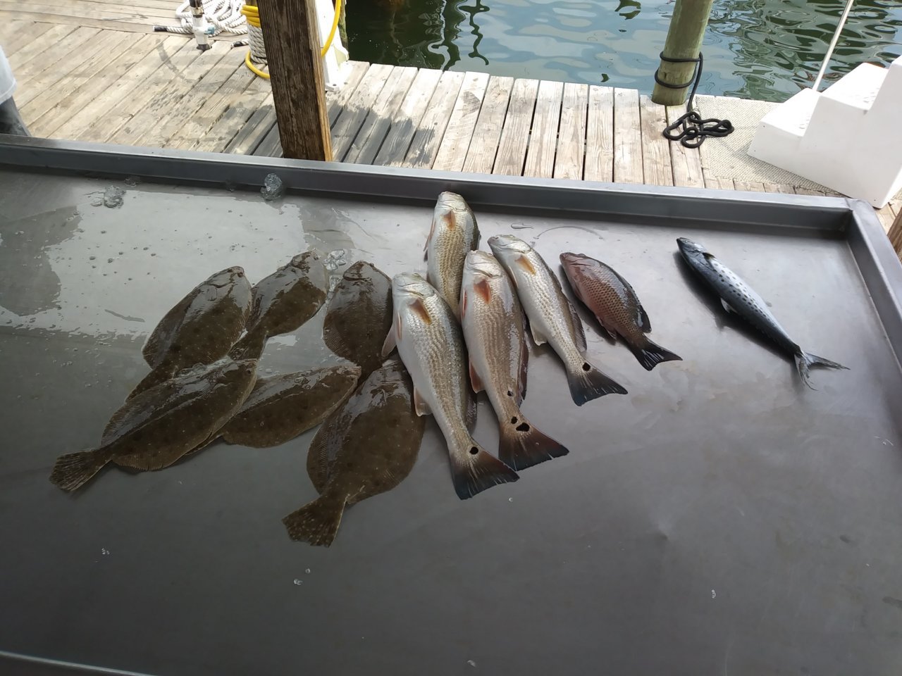 20180727_144845.jpg