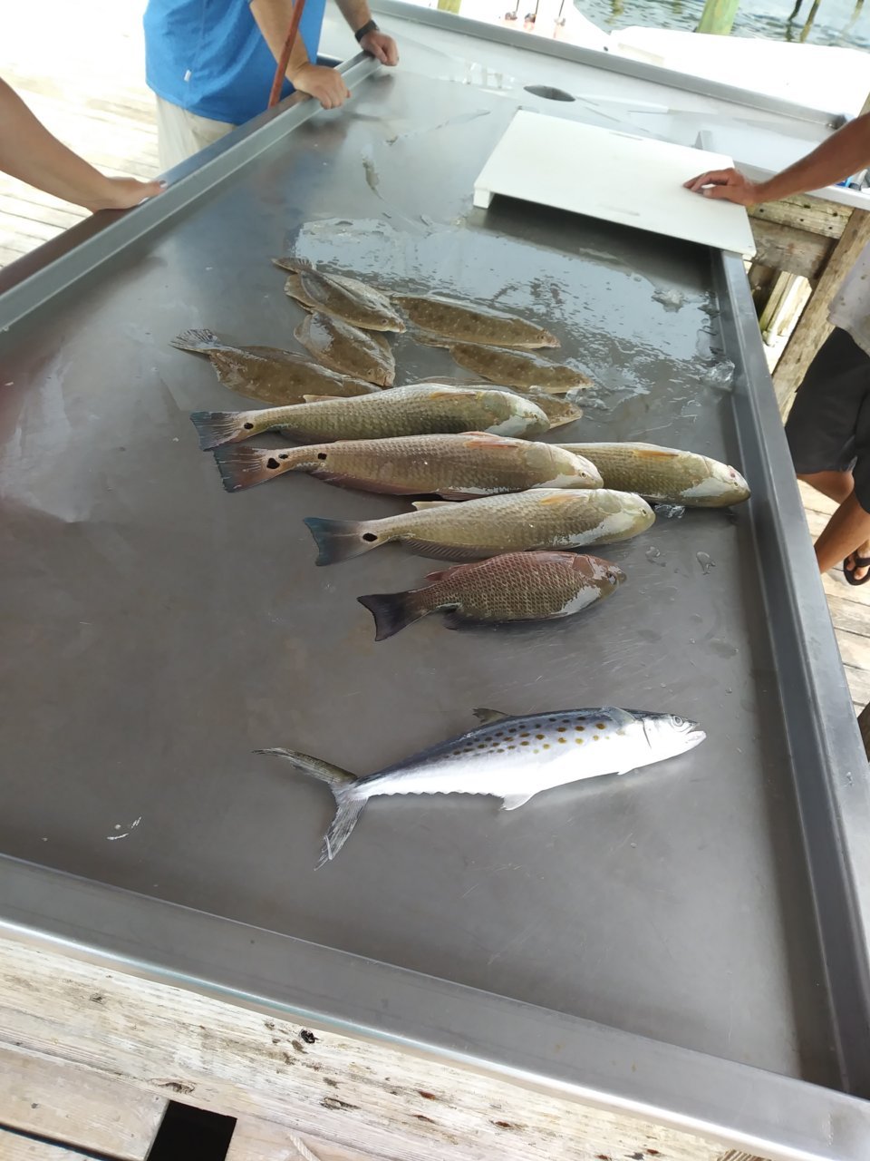 20180727_144905.jpg