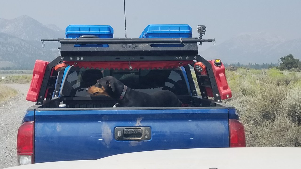 20180728_103612.jpg