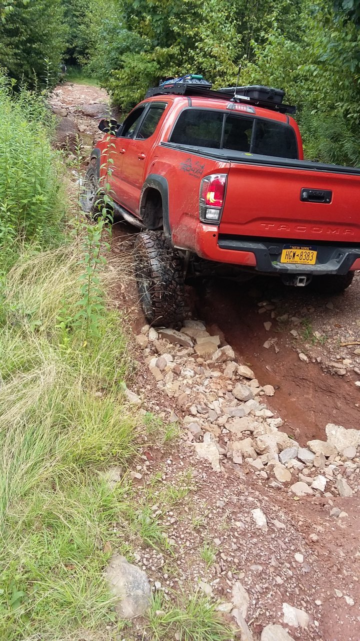 20180728_131932.jpg