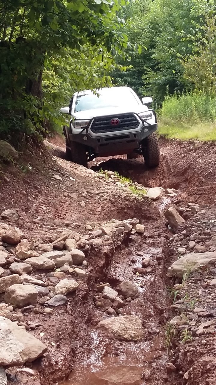 20180728_132728.jpg