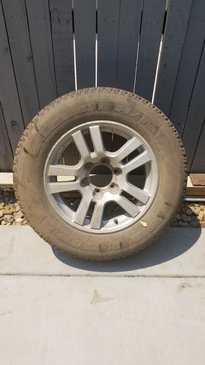 20180728_133734.jpg