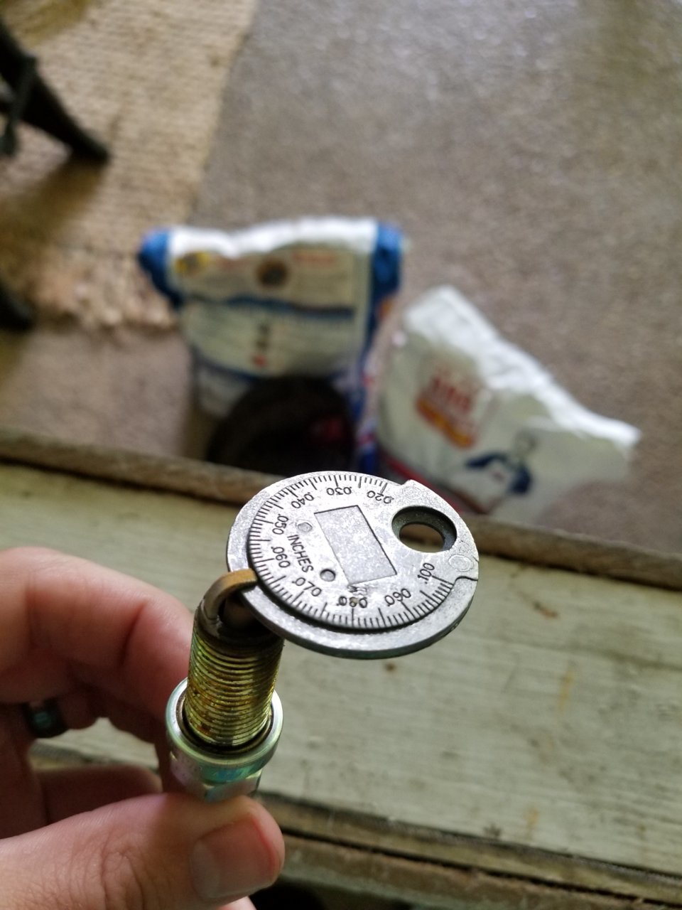 20180728_151359.jpg