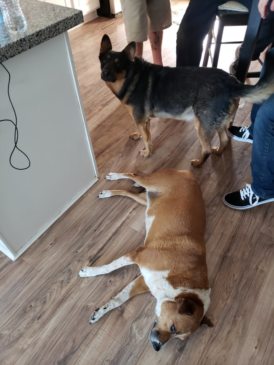 20180728_154736.jpg