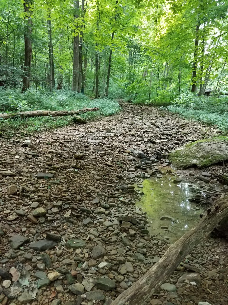 20180728_171046.jpg