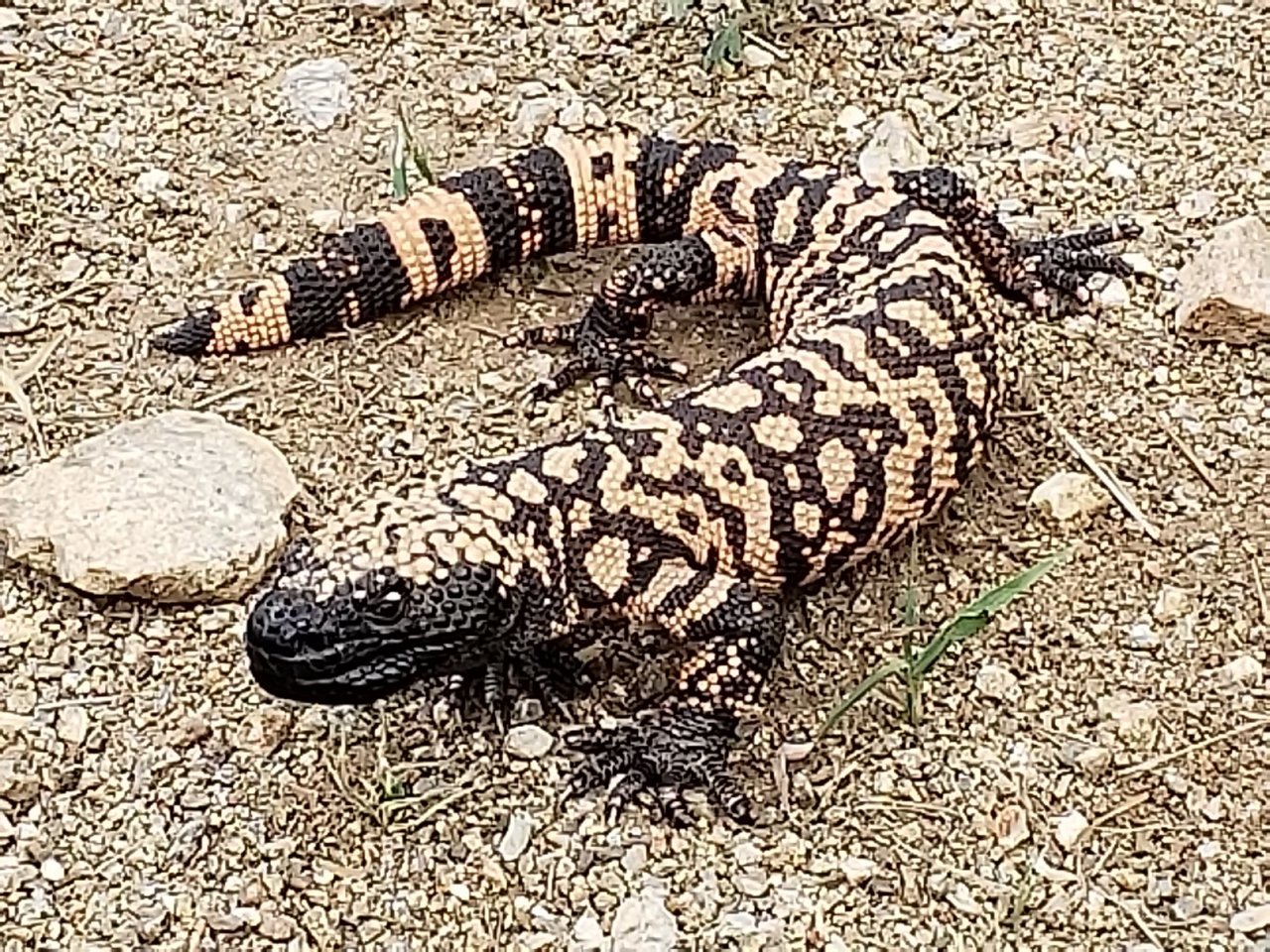 20180728_173207.jpg