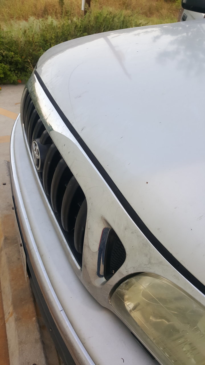 20180728_195629.jpg
