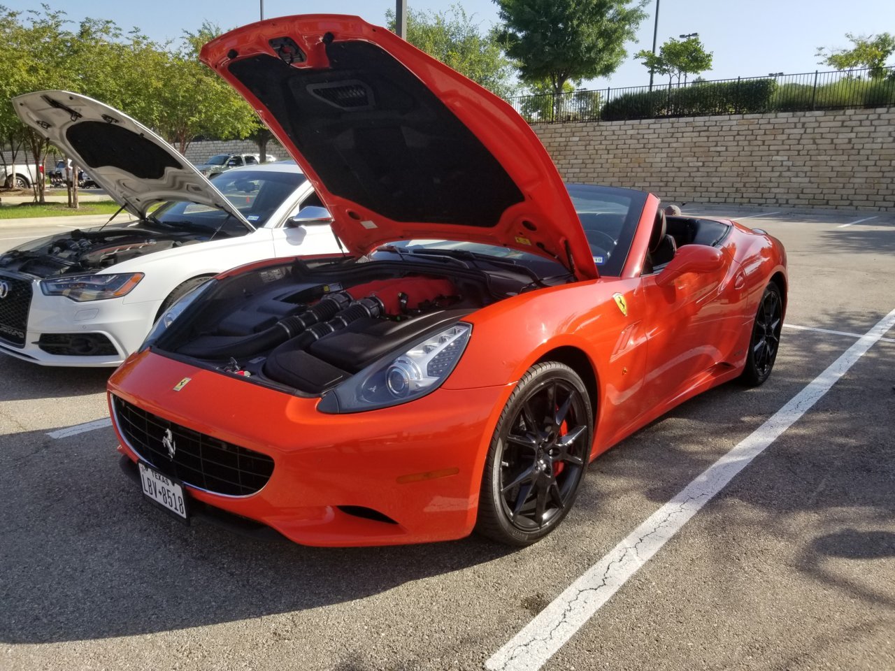 20180729_094101.jpg