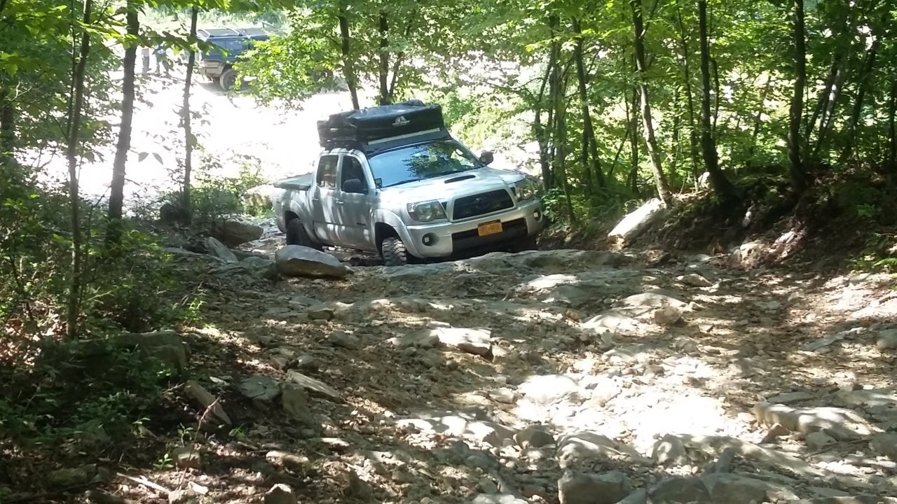 20180729_100758.jpg