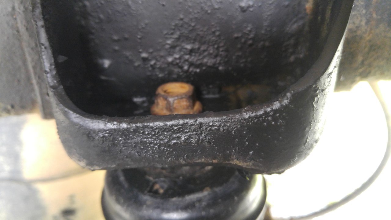 20180729_102804.jpg