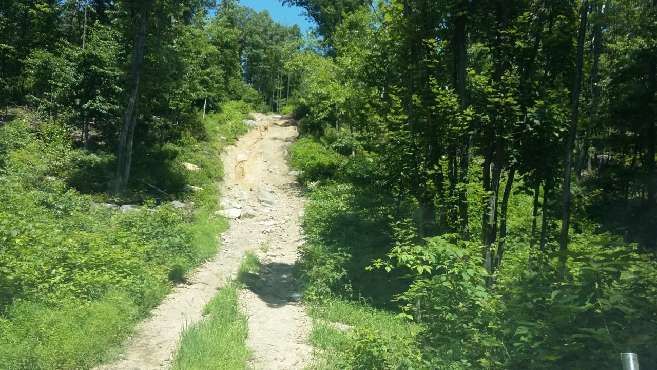 20180729_120355.jpg