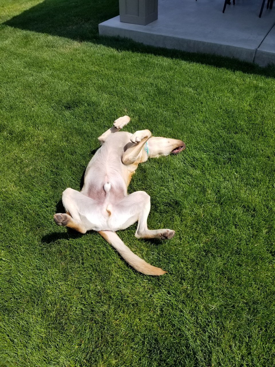 20180729_124644.jpg