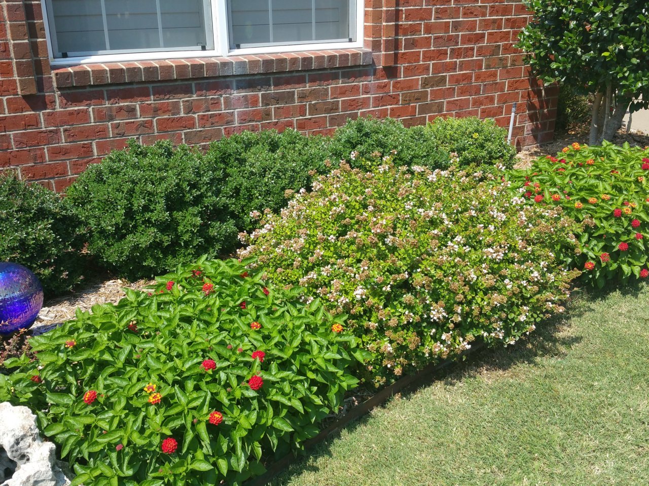 20180729_152614.jpg
