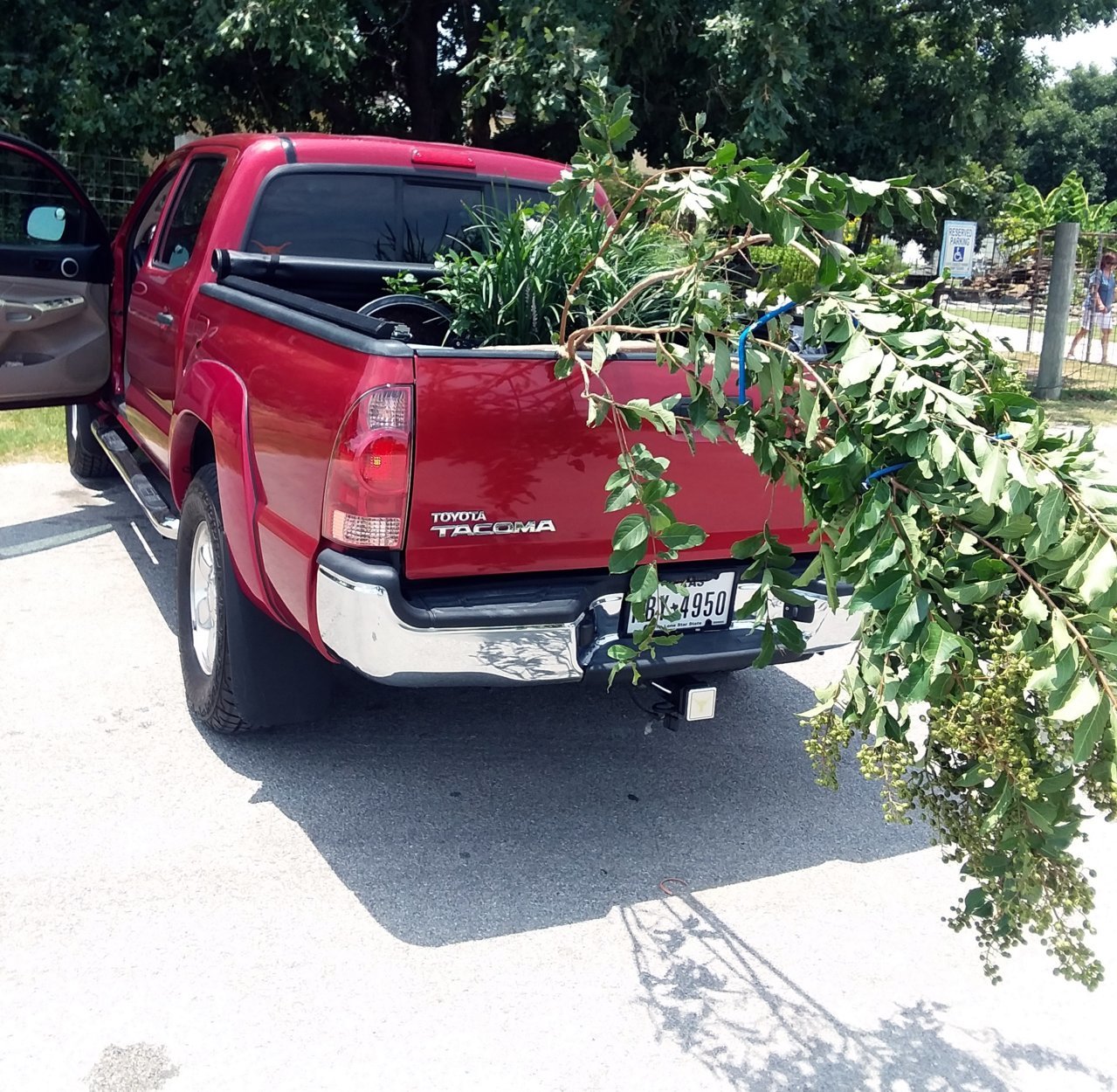 20180730_134146.jpg