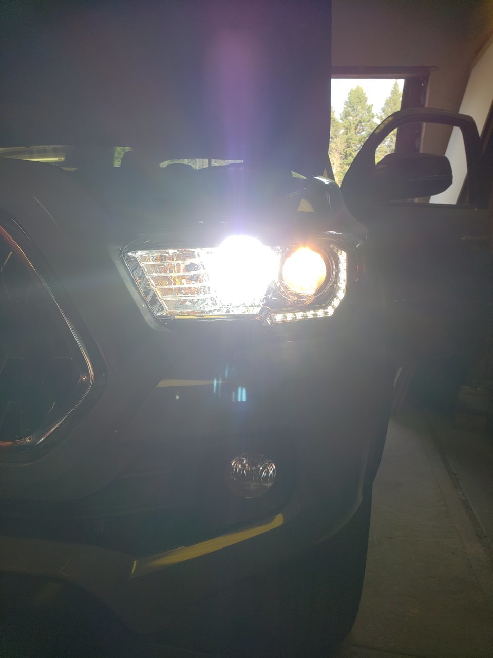 20180730_173231.jpg