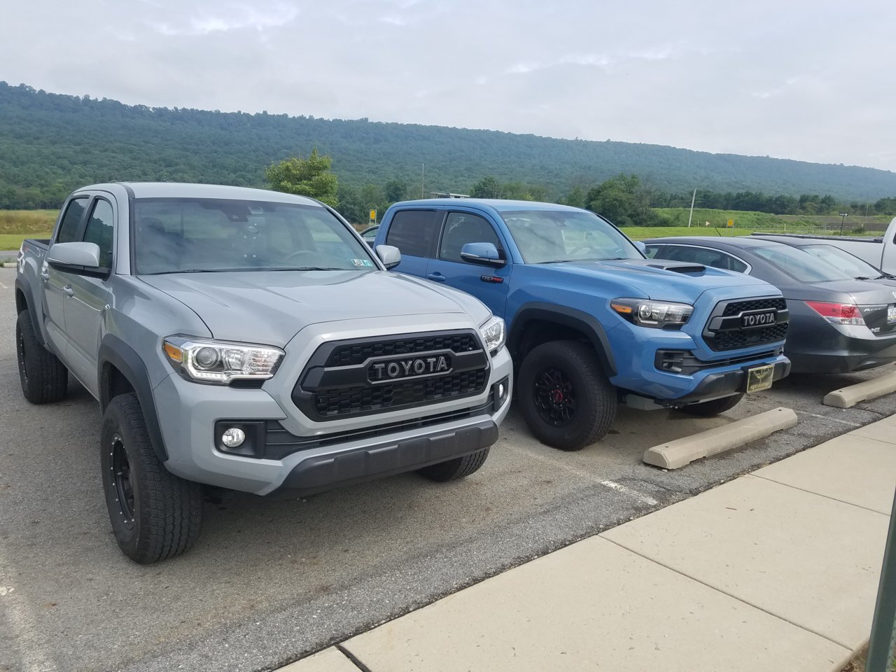 20180731_102227.jpg