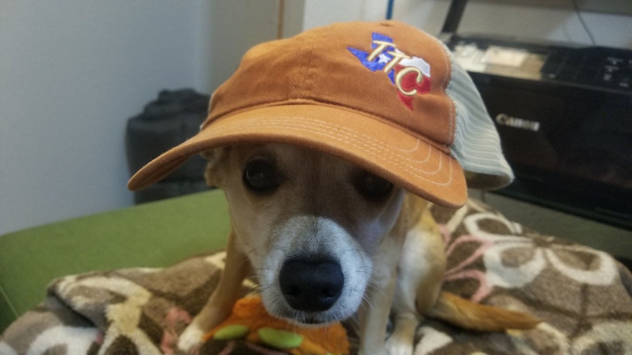 20180731_125719.jpg