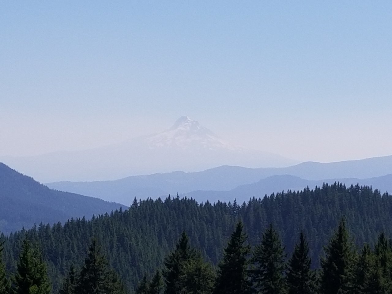 20180801_144033.jpg