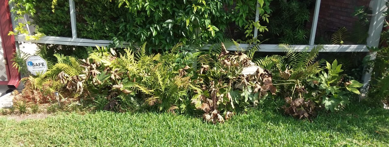 20180802_103622.jpg