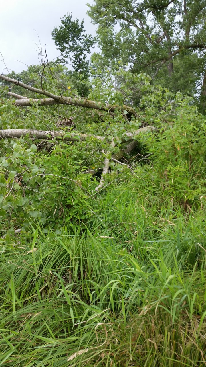 20180802_134640.jpg
