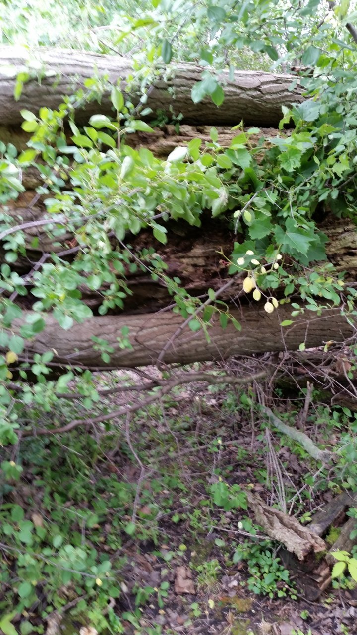 20180802_134713.jpg
