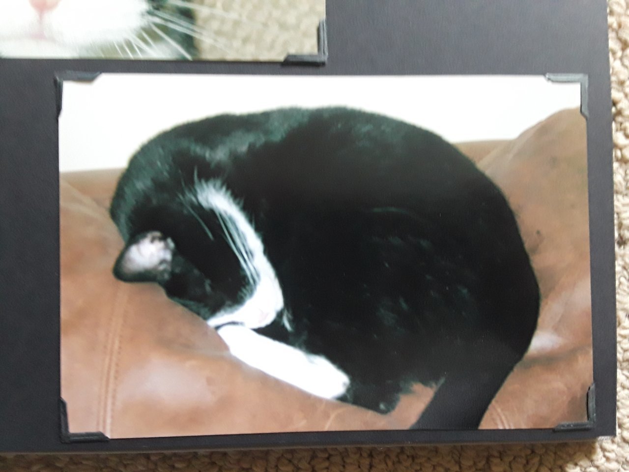 20180802_165856.jpg
