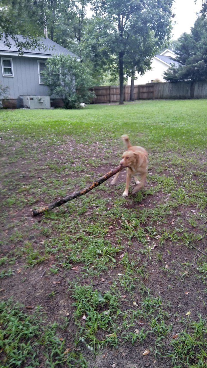 20180802_184611_HDR.jpg