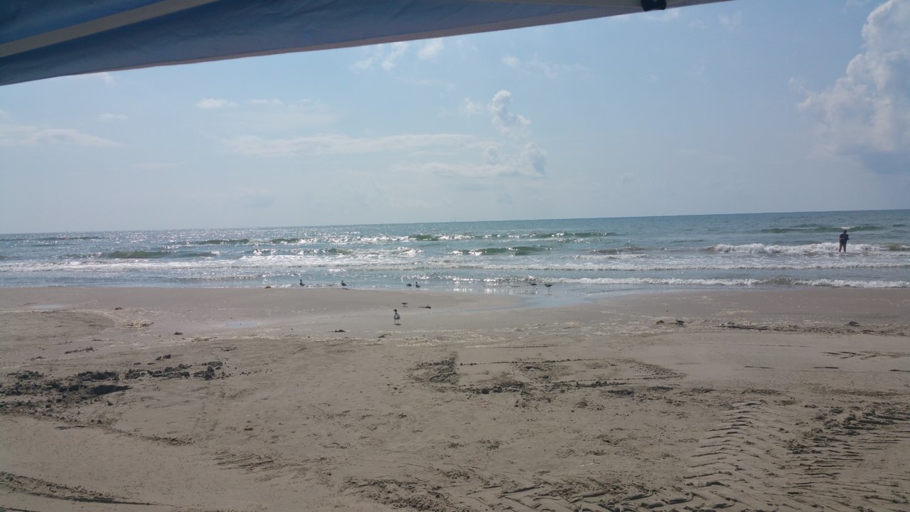 20180803_104224.jpg