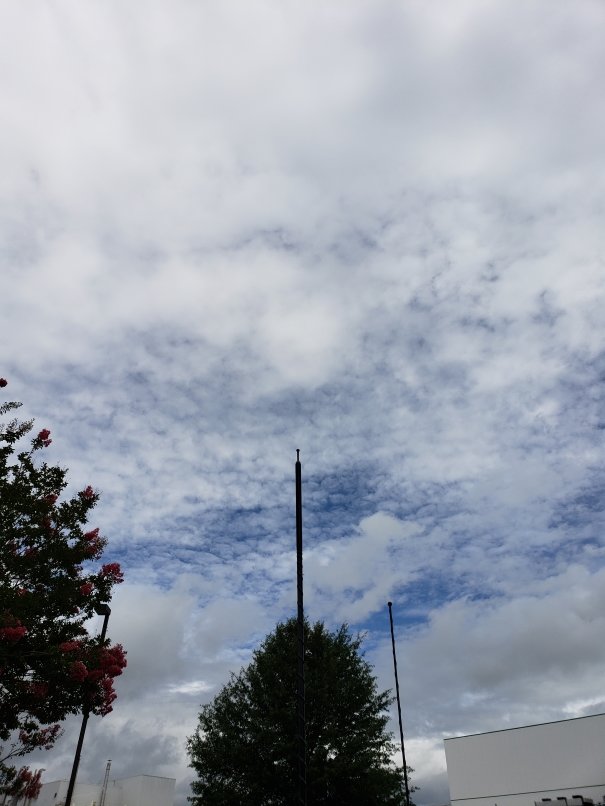 20180803_115829.jpg