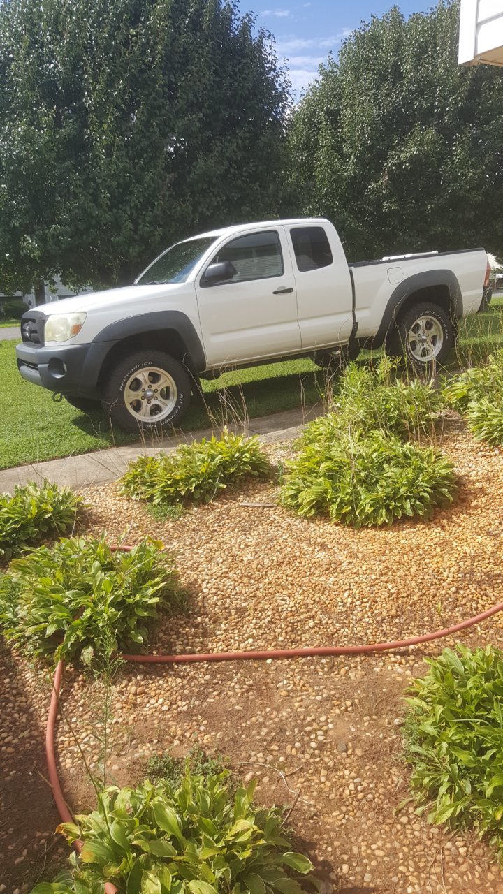 20180803_164732.jpg