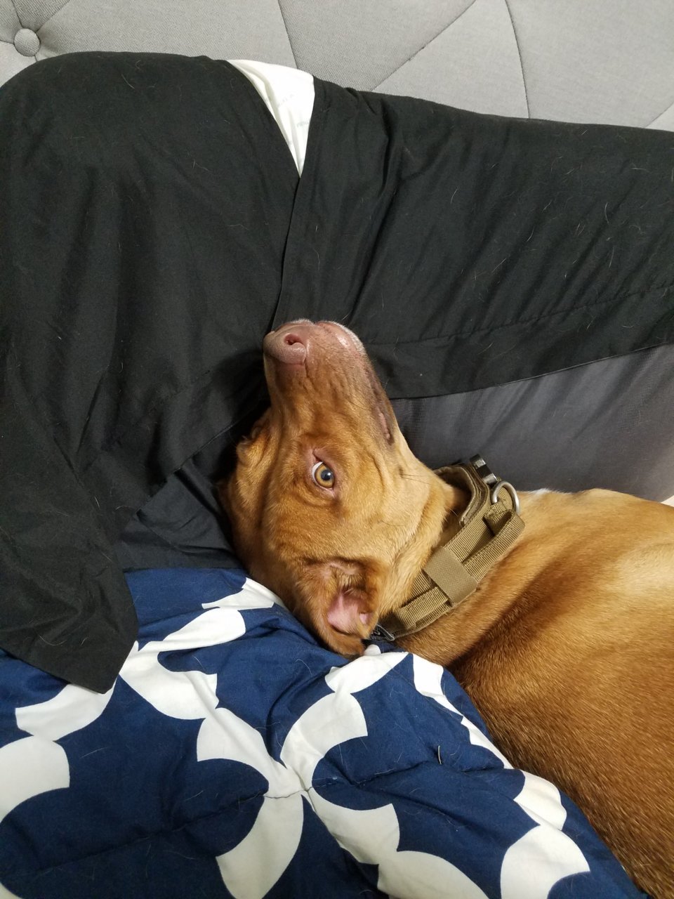 20180803_221639.jpg