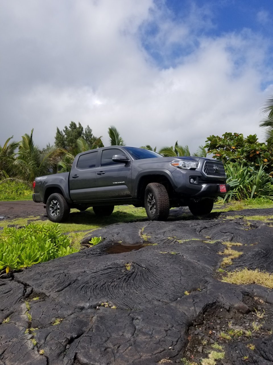 20180804_102736.jpg