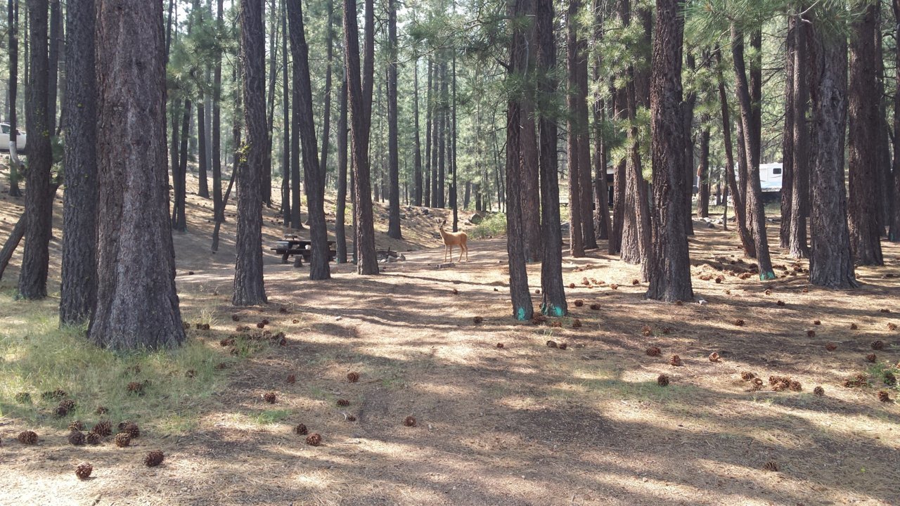 20180804_105049.jpg