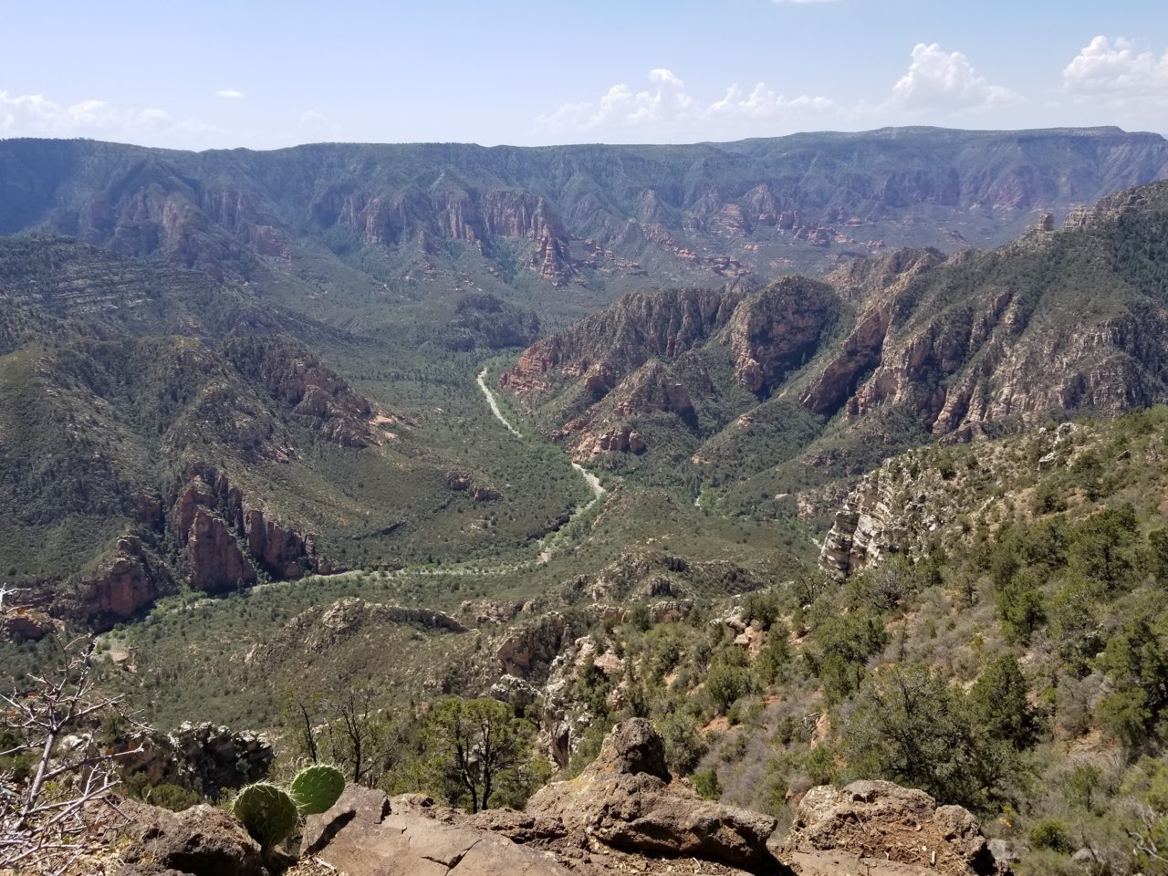 20180804_105336.jpg