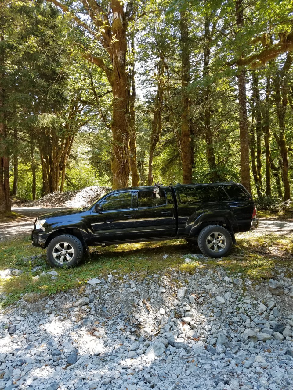 20180804_131748.jpg