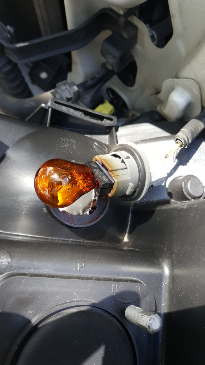 20180804_143925.jpg