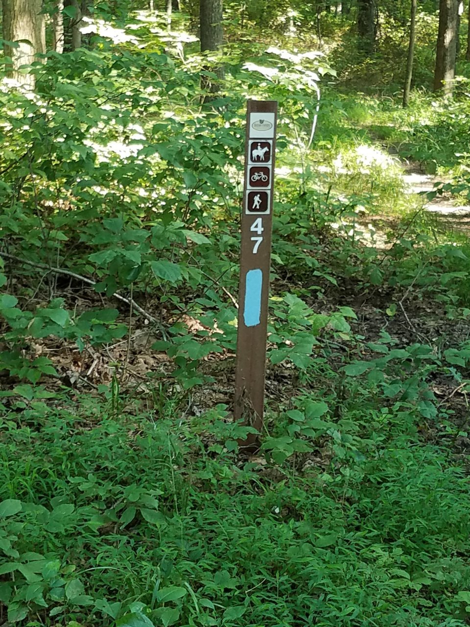 20180804_171835.jpg