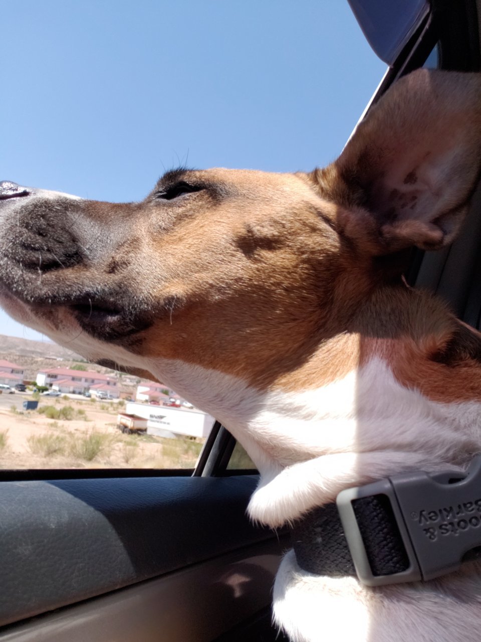 20180805_141231.jpg