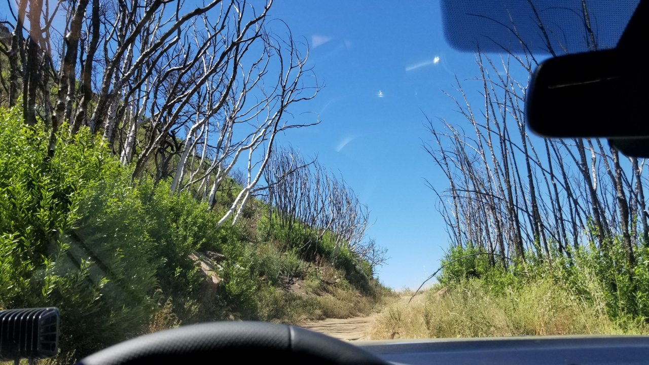 20180805_144759.jpg