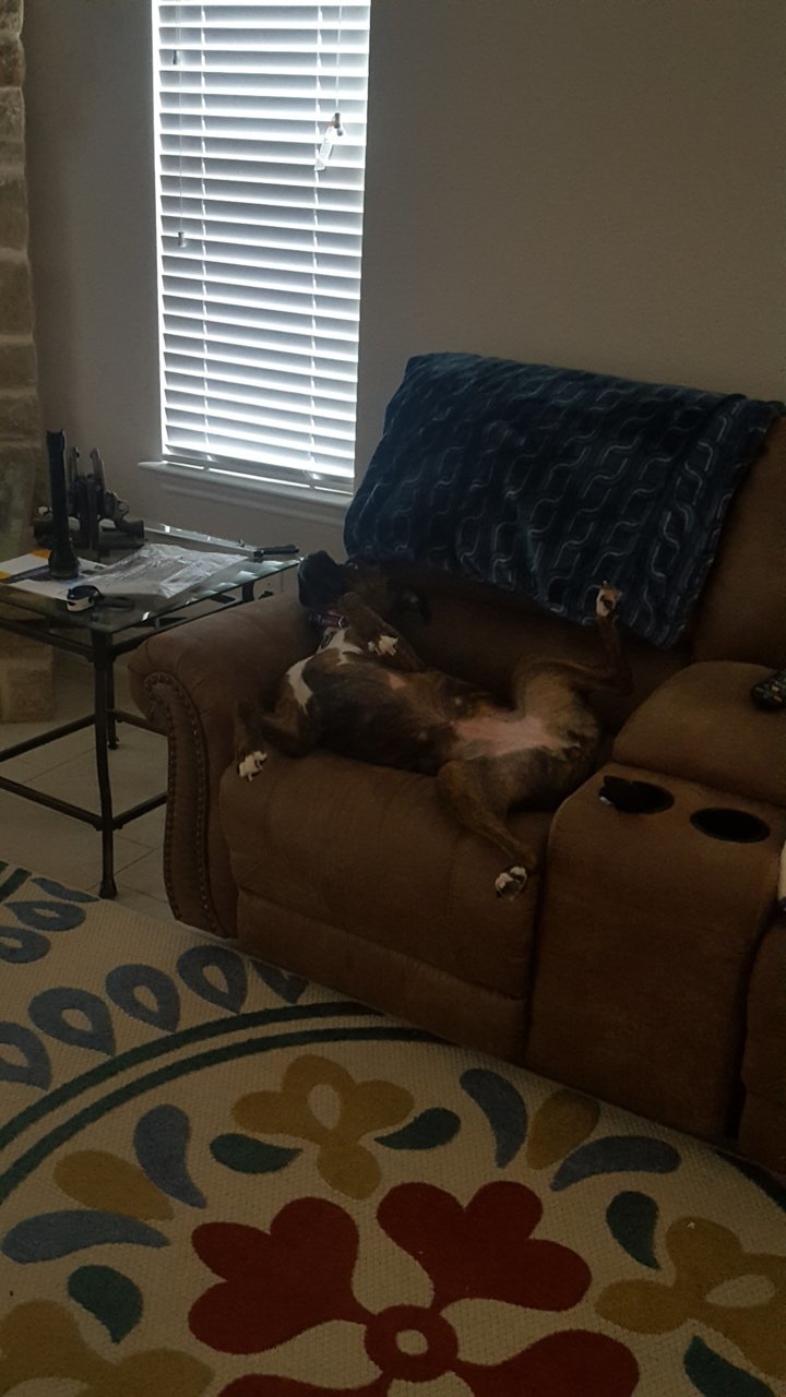 20180805_154119.jpg