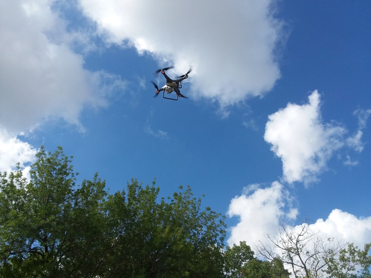 20180806_101407.jpg