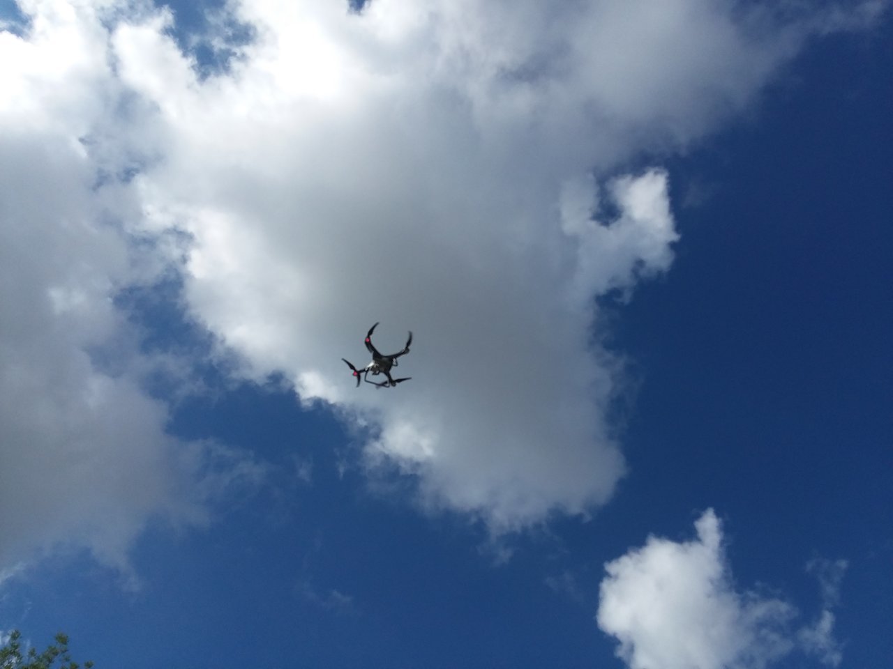 20180806_101409.jpg
