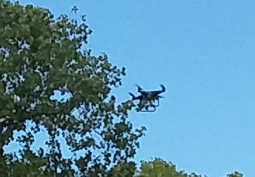 20180806_102210.jpg